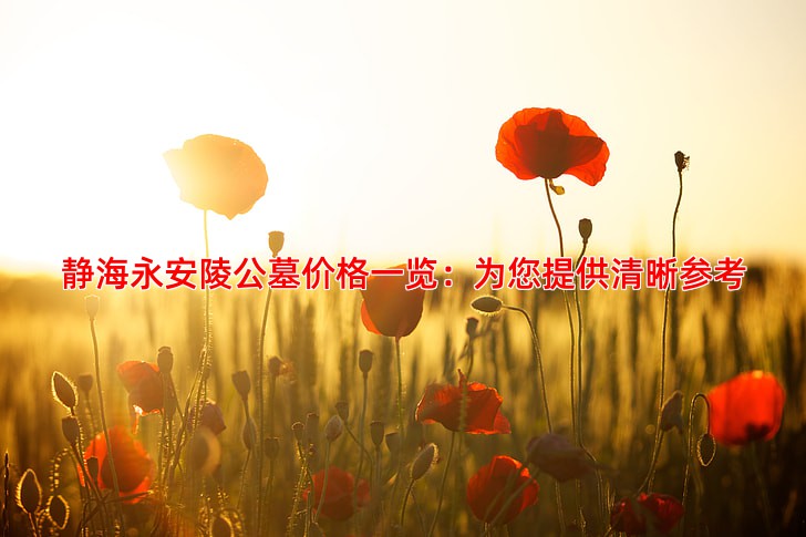 静海永安陵公墓价格一览：为您提供清晰参考