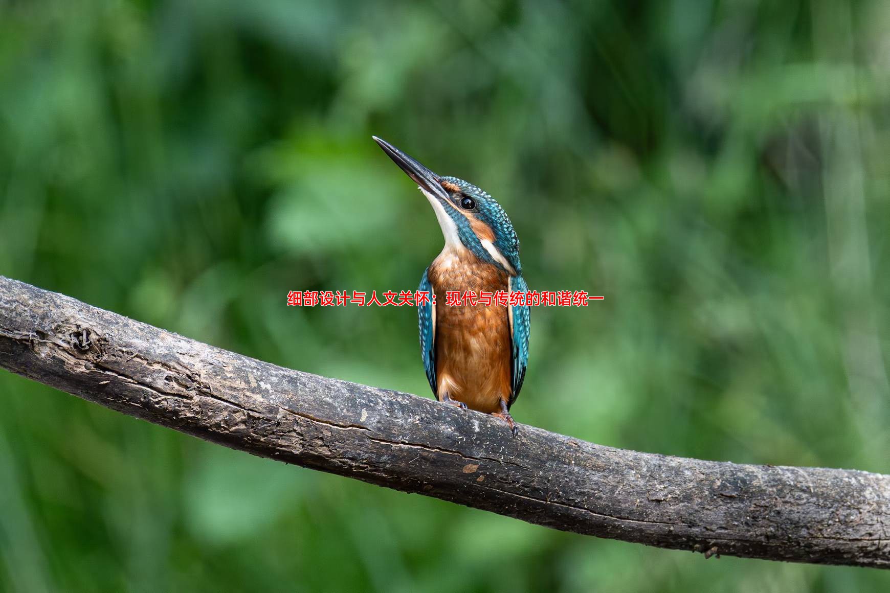 细部设计与人文关怀：现代与传统的和谐统一