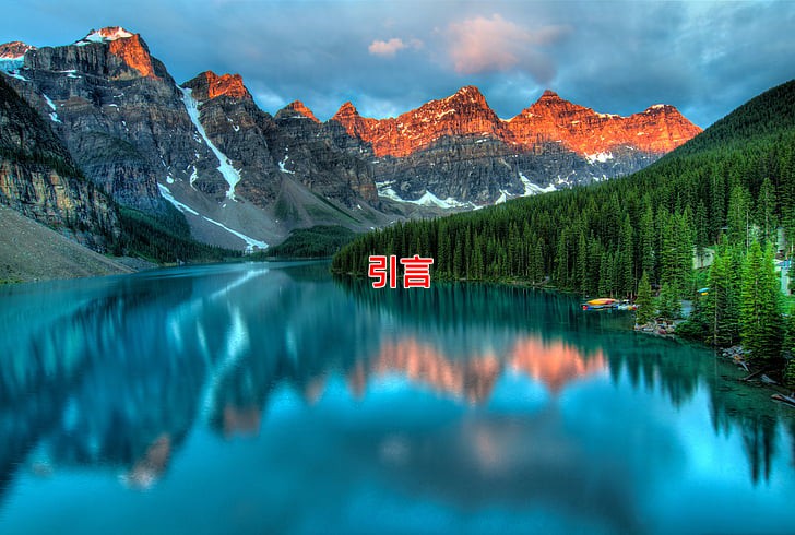 引言