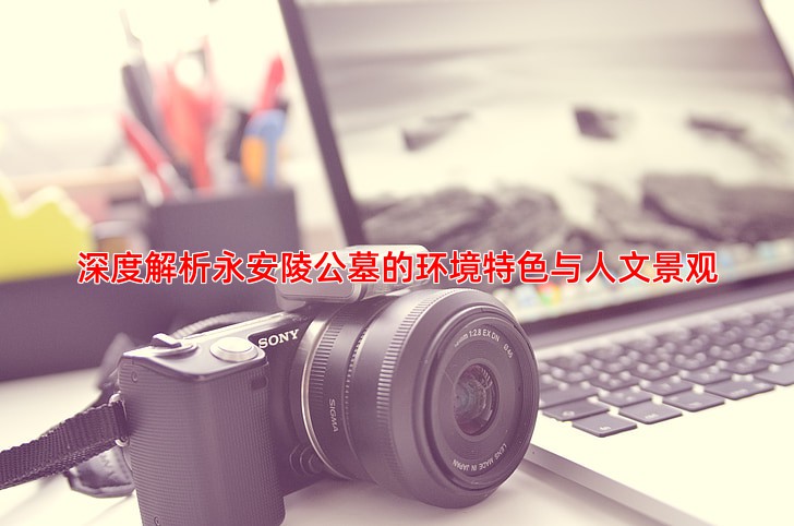 深度解析永安陵公墓的环境特色与人文景观