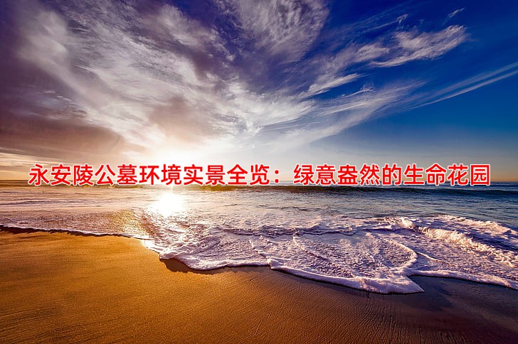 永安陵公墓环境实景全览：绿意盎然的生命花园