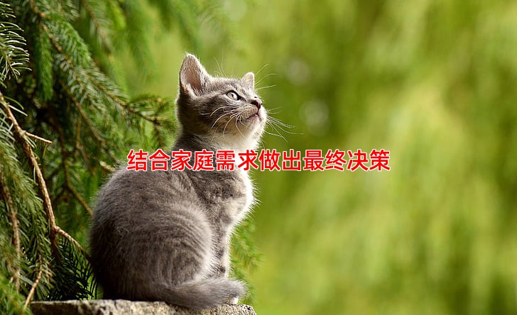 结合家庭需求做出终决策