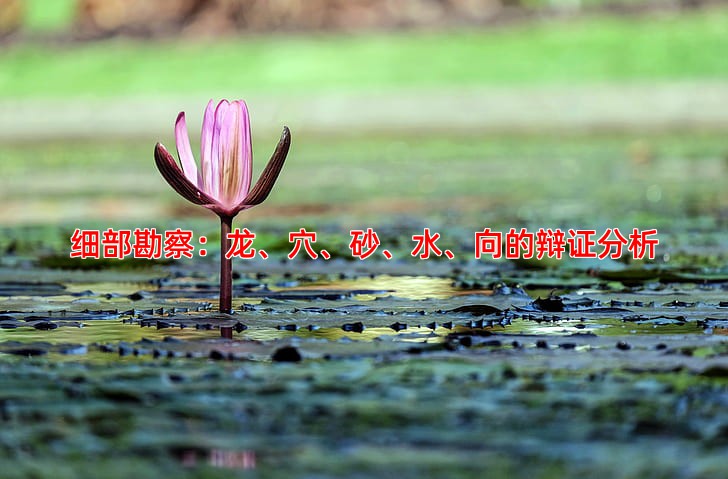 细部勘察：龙、穴、砂、水、向的辩证分析