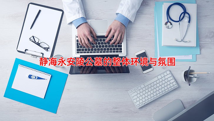 静海永安陵公墓的整体环境与氛围