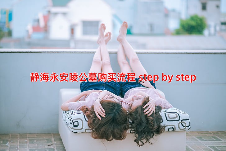静海永安陵公墓购买流程 step by step
