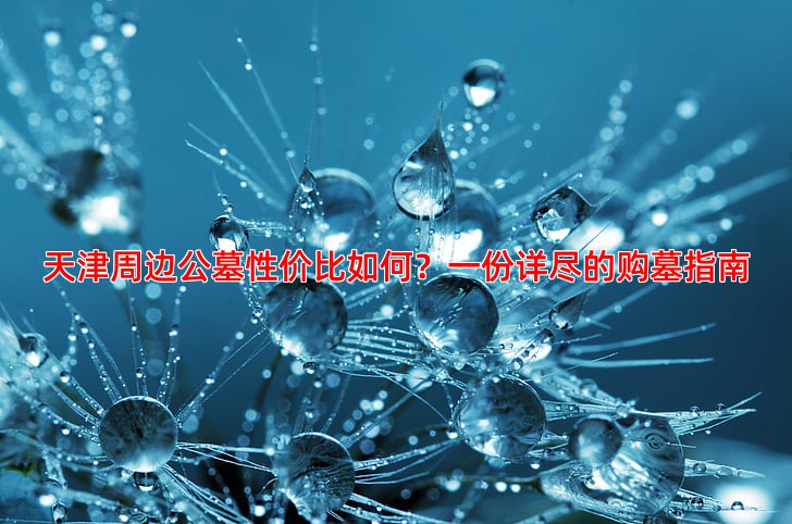 天津周边公墓性价比如何？一份详尽的购墓指南