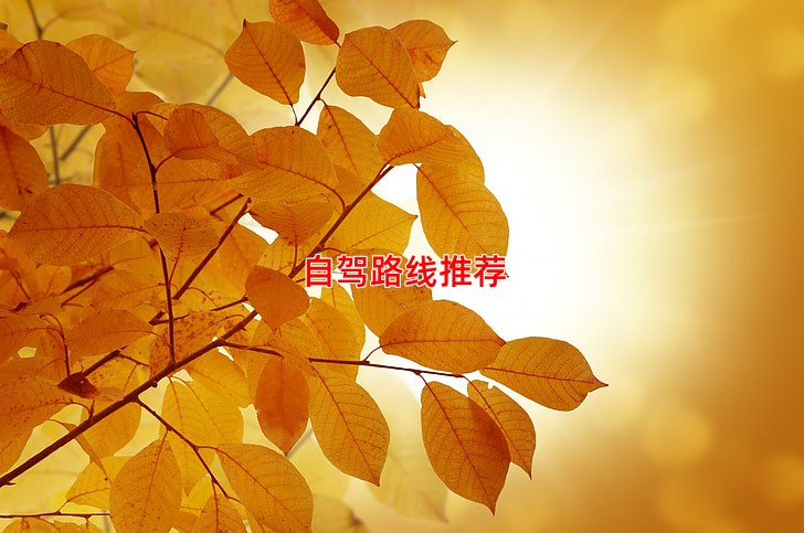 自驾路线推荐