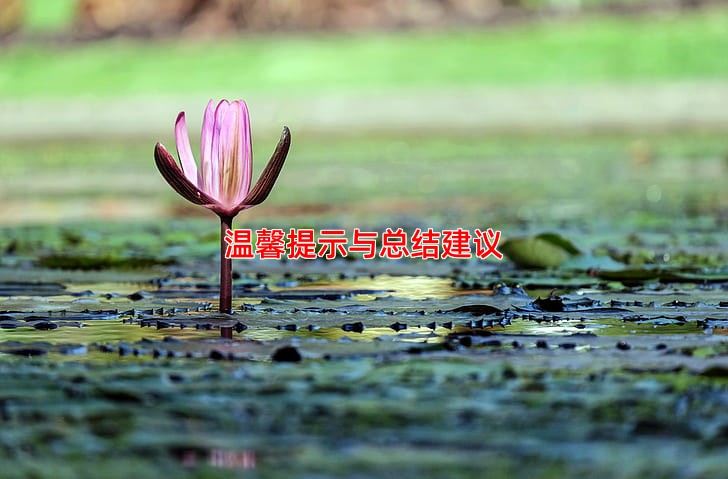 温馨提示与总结建议