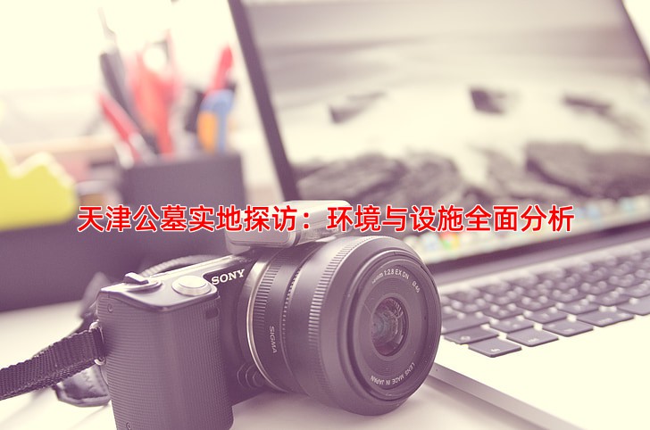 天津公墓实地探访：环境与设施全面分析