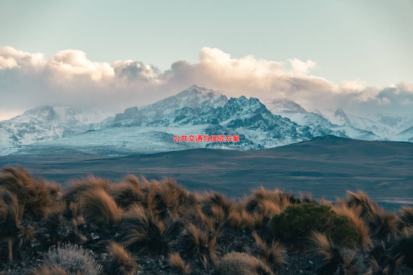 公共交通与接驳方案