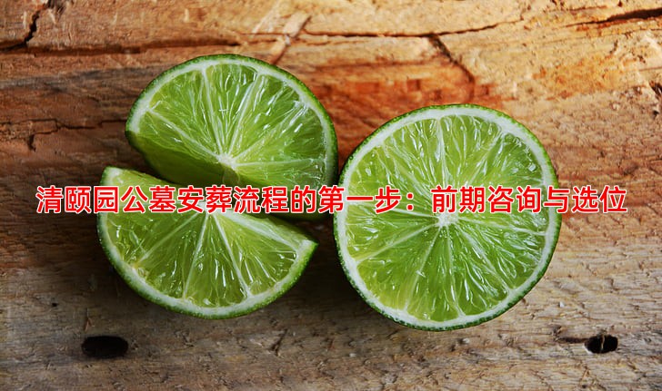 清颐园公墓安葬流程的**步：前期咨询与选位