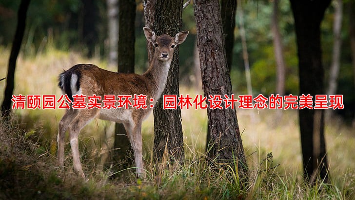 清颐园公墓实景环境：园林化设计理念的完美呈现
