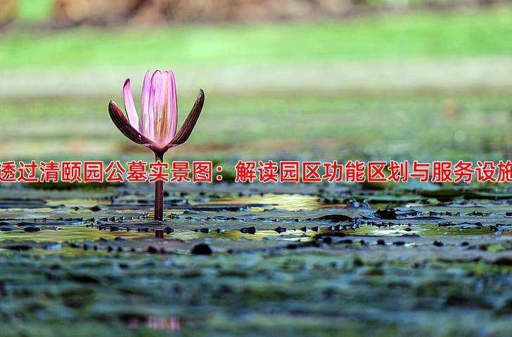 透过清颐园公墓实景图：解读园区功能区划与服务设施