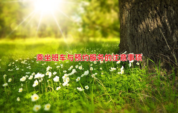 乘坐班车与预约服务的注意事项