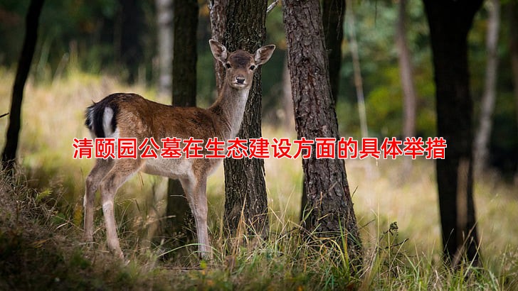清颐园公墓在生态建设方面的具体举措