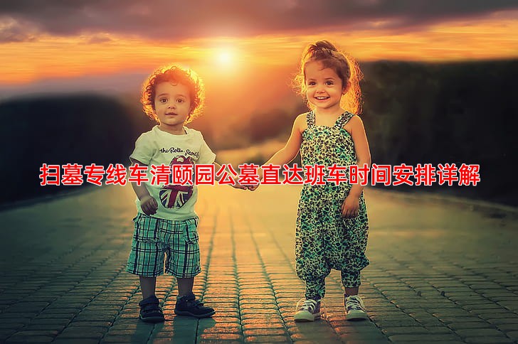 扫墓专线车清颐园公墓直达班车时间安排详解