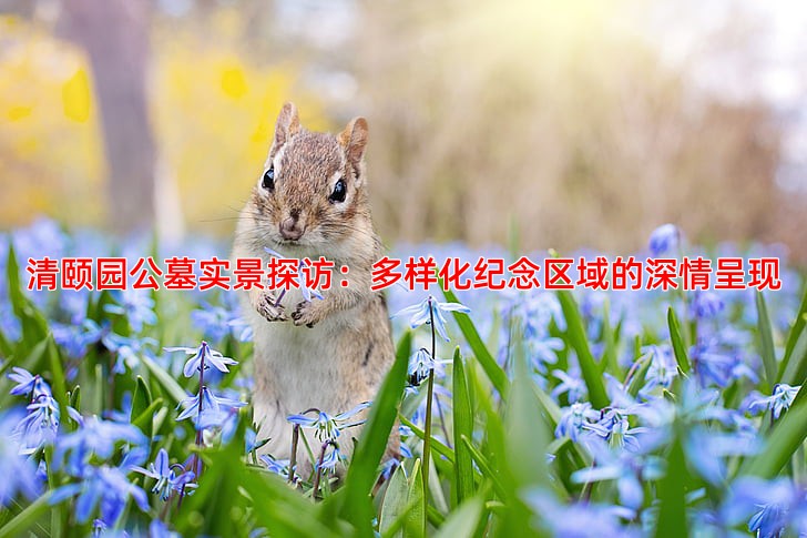 清颐园公墓实景探访：多样化纪念区域的深情呈现