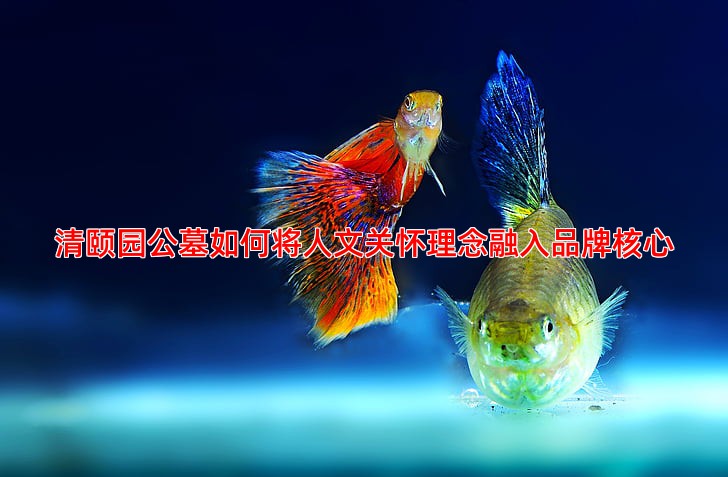 清颐园公墓如何将人文关怀理念融入品牌核心