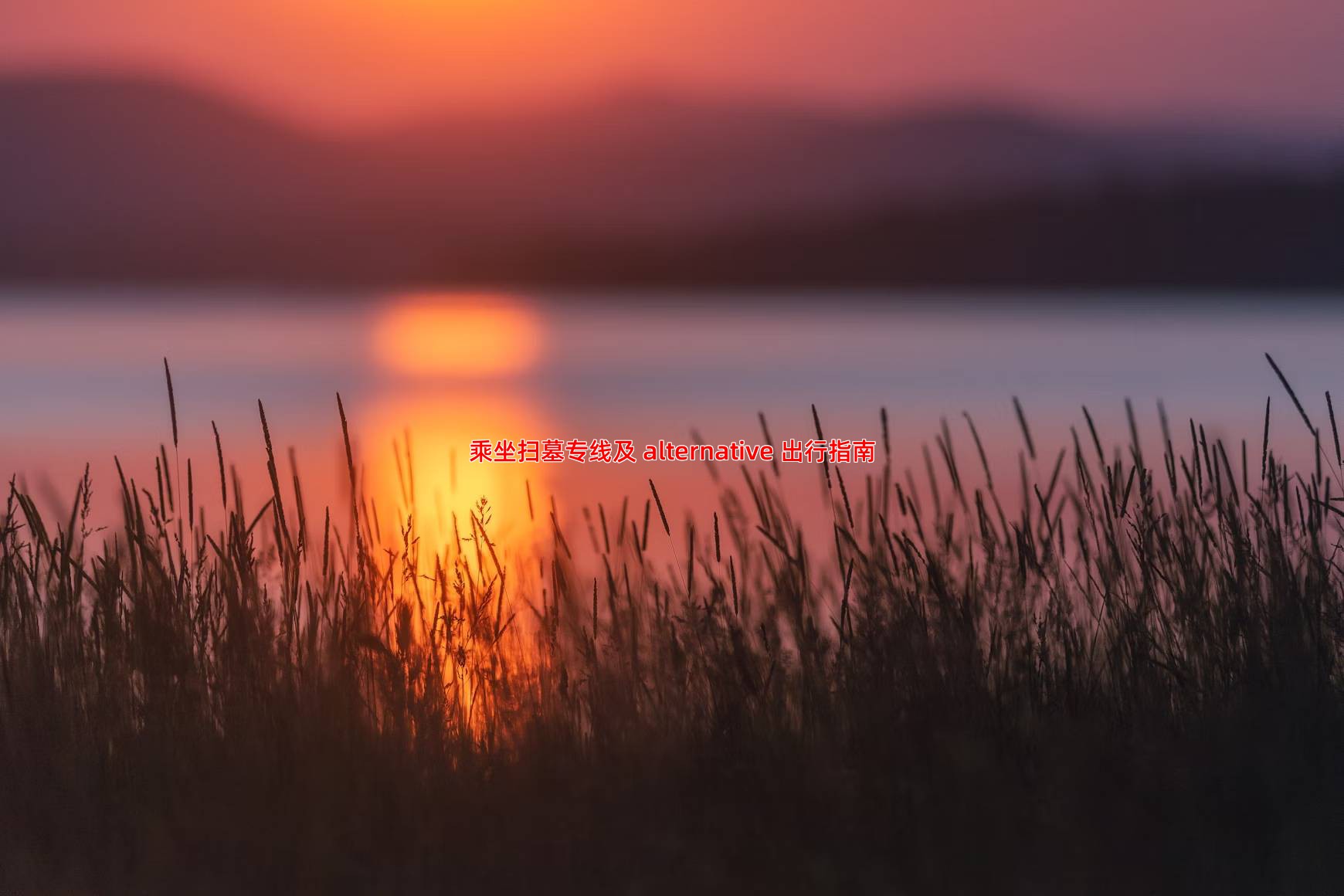 乘坐扫墓专线及 alternative 出行指南