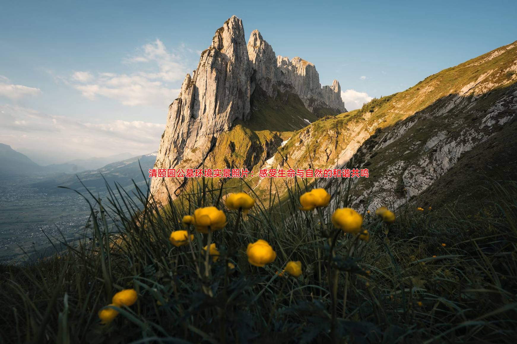 清颐园公墓环境实景照片：感受生命与自然的和谐共鸣