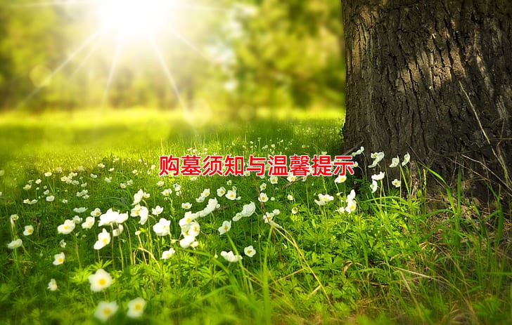 购墓须知与温馨提示