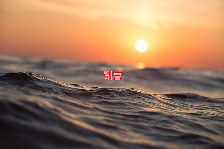 引言