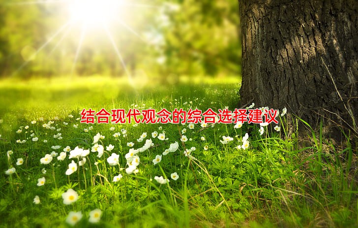 结合现代观念的综合选择建议