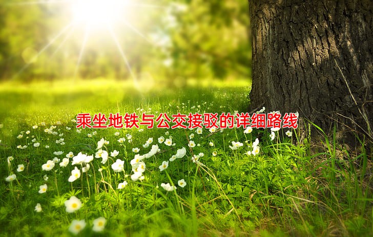 乘坐地铁与公交接驳的详细路线