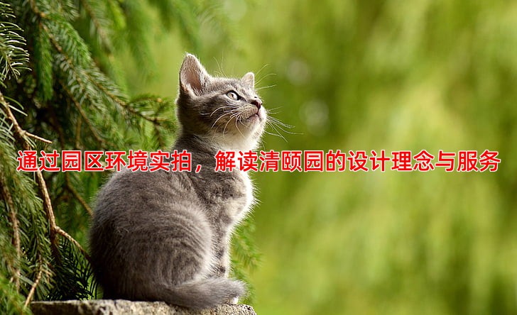 通过园区环境实拍，解读清颐园的设计理念与服务