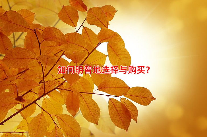 如何明智地选择与购买？