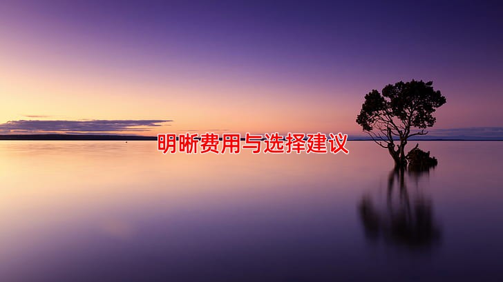 明晰费用与选择建议