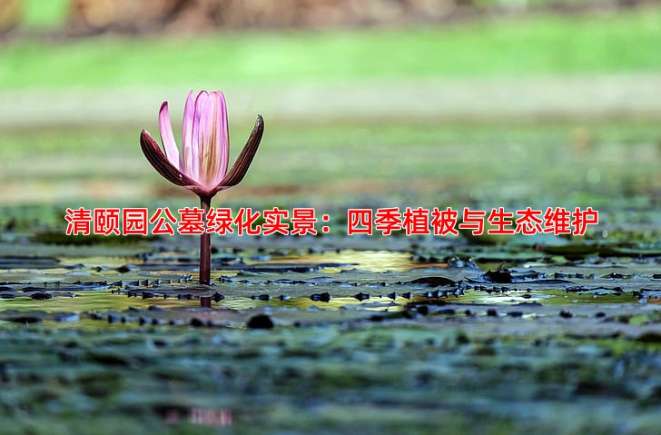 清颐园公墓绿化实景：四季植被与生态维护