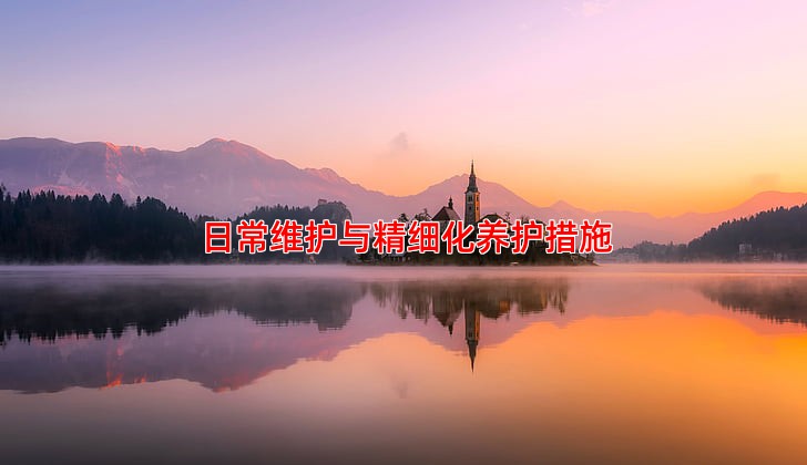 日常维护与精细化养护措施