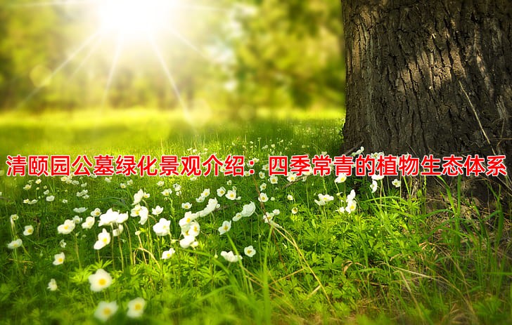 清颐园公墓绿化景观介绍：四季常青的植物生态体系