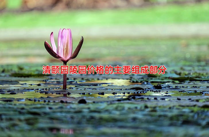 清颐园陵园价格的主要组成部分