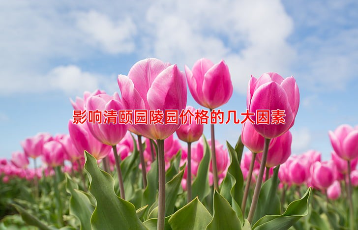 影响清颐园陵园价格的几大因素