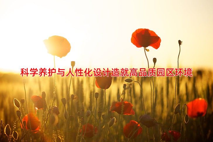 科学养护与人性化设计造就高品质园区环境