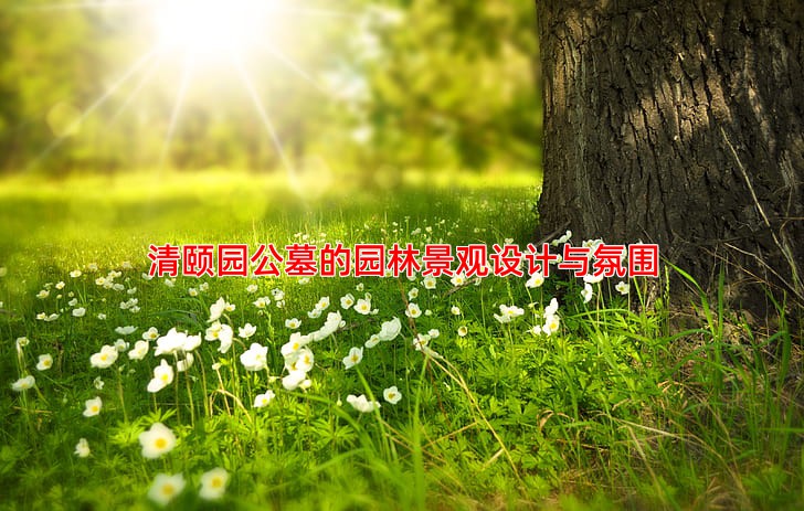 清颐园公墓的园林景观设计与氛围