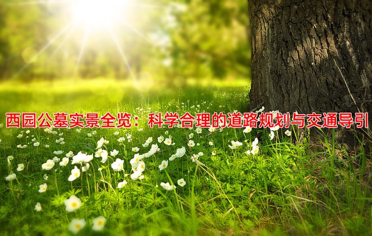 西园公墓实景全览：科学合理的道路规划与交通导引