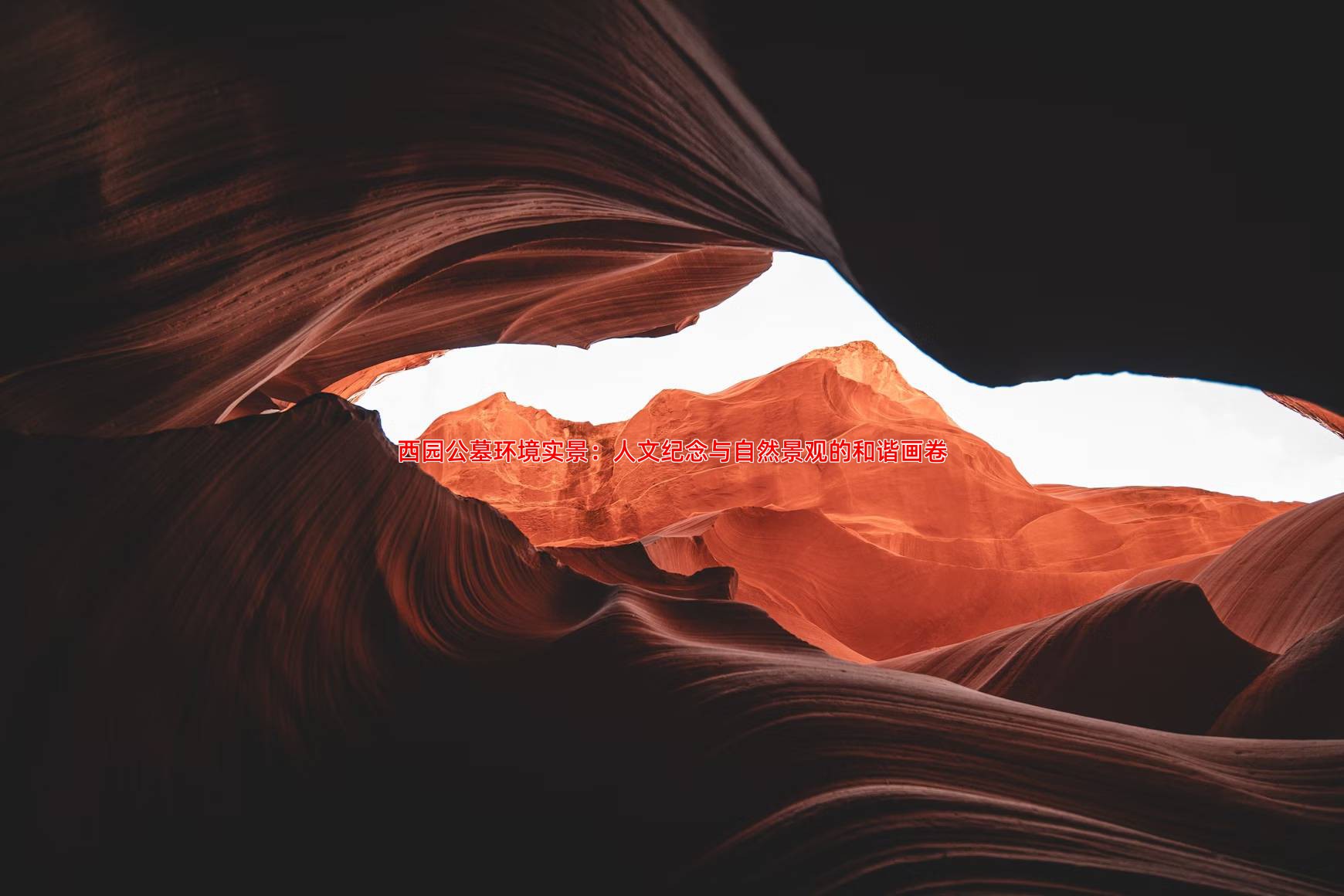 西园公墓环境实景：人文纪念与自然景观的和谐画卷