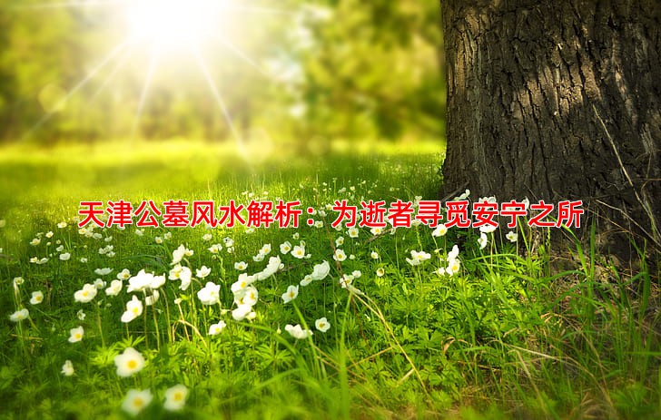 天津公墓风水解析：为逝者寻觅安宁之所