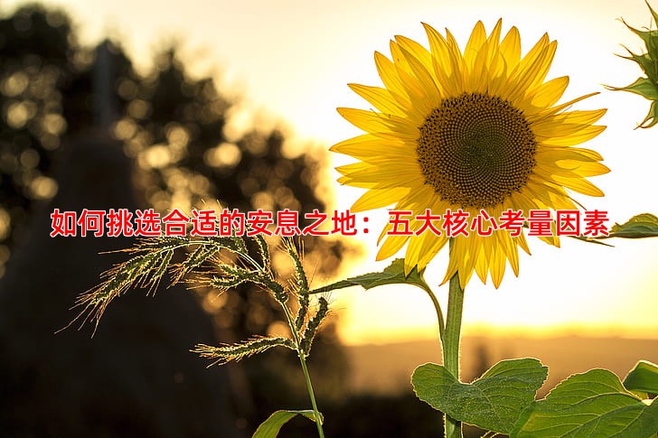 如何挑选合适的安息之地：五大核心考量因素