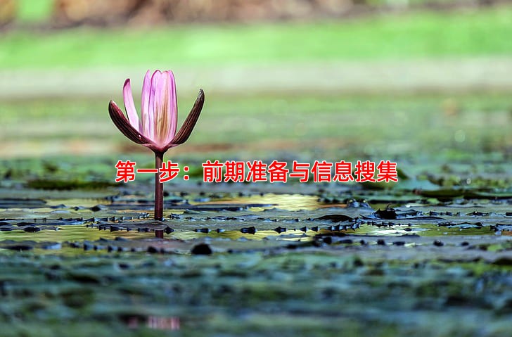 **步：前期准备与信息搜集