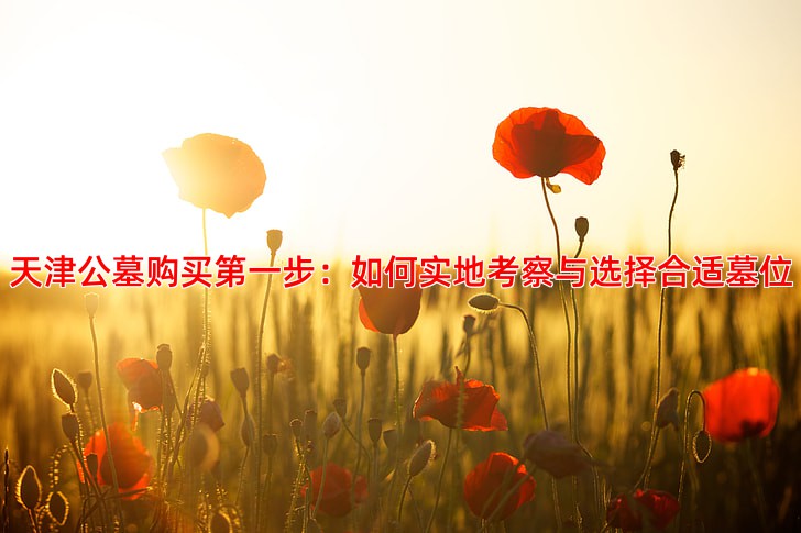 天津公墓购买**步：如何实地考察与选择合适墓位