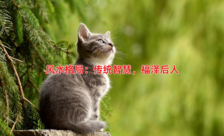 风水格局：传统智慧，福泽后人