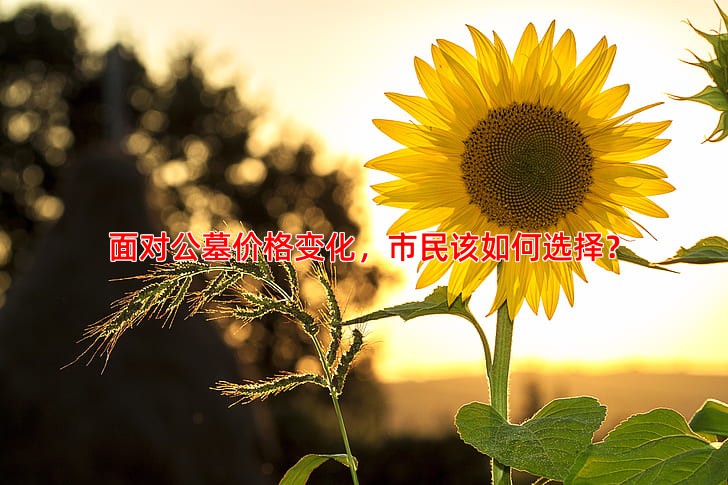 面对公墓价格变化，市民该如何选择？