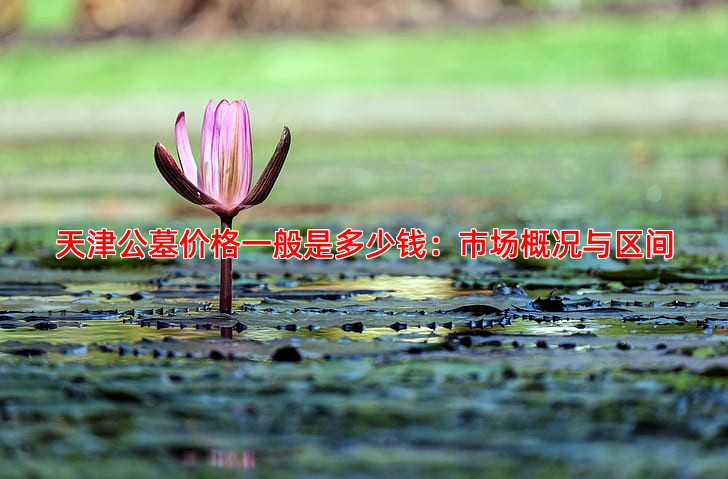 天津公墓价格一般是多少钱：市场概况与区间
