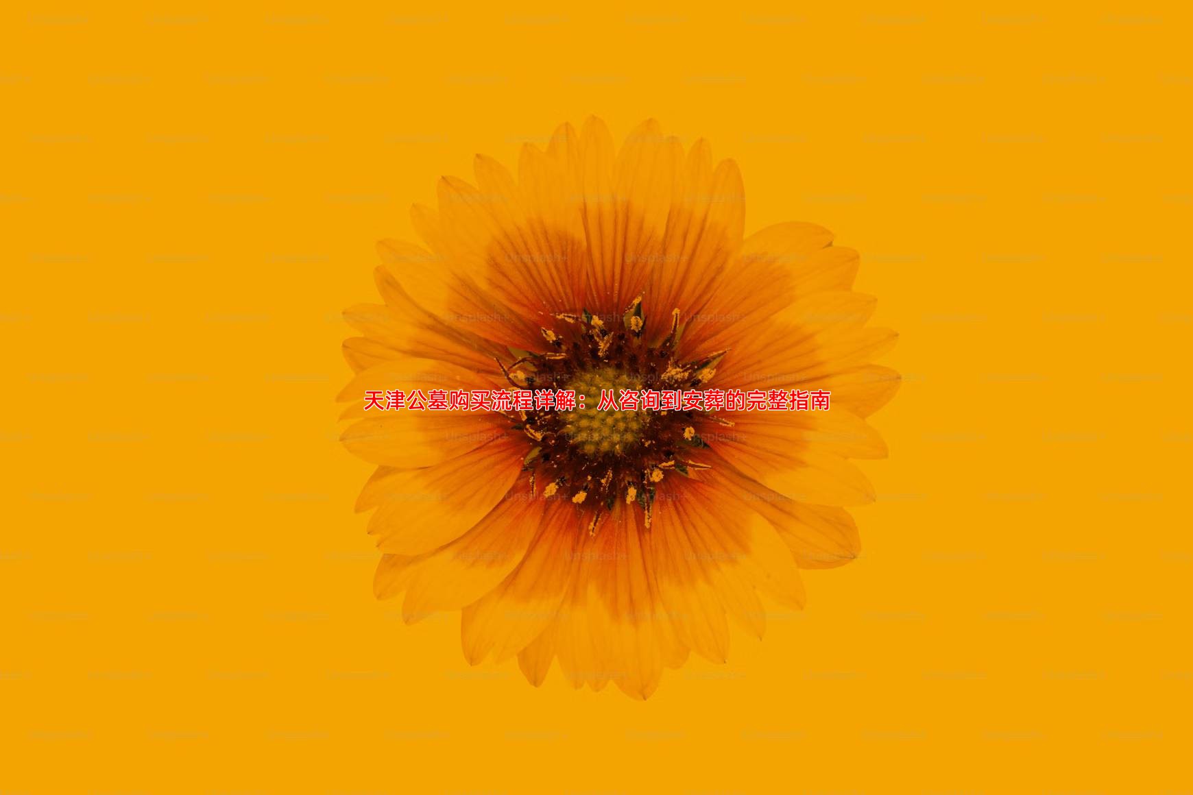 天津公墓购买流程详解：从咨询到安葬的完整指南
