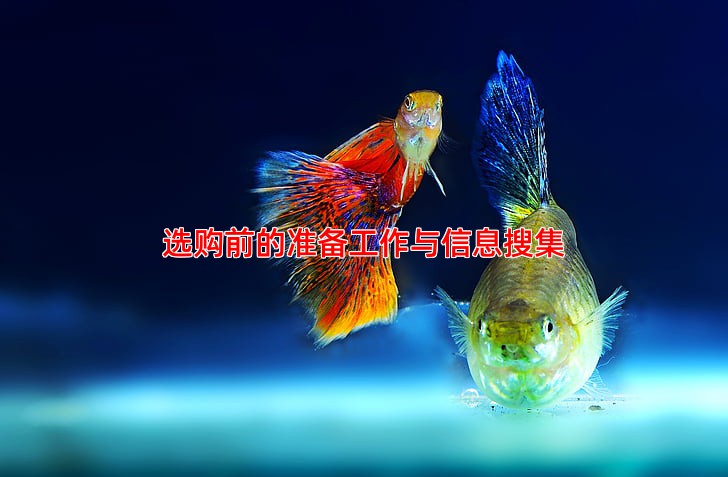 选购前的准备工作与信息搜集