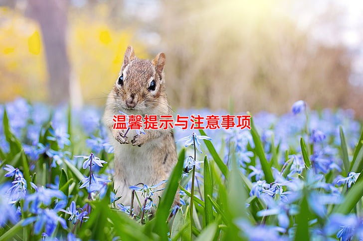 温馨提示与注意事项